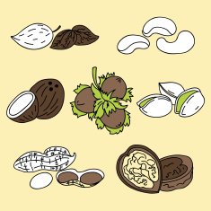 nuts icons N2