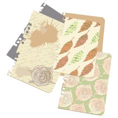 Sentimental old love letter N2