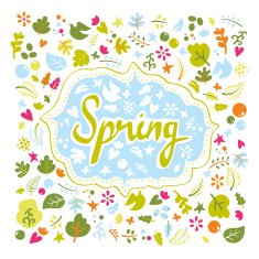 Card for spring N2