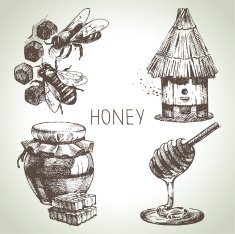 Sketch honey set