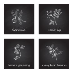 Handdrawn Illustration - Health and Nature Set N45