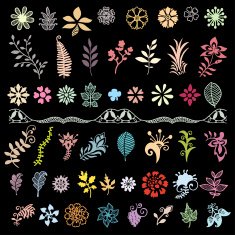 Design elements set flowers and leaves doodle floral collection