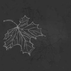 Hand Drawn Autumn Background N22