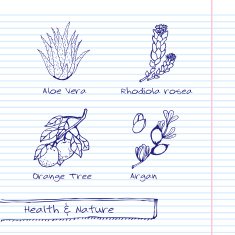 Handdrawn Illustration - Health and Nature Set N46