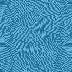 turtle pattern N2
