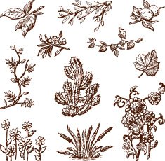 Floral doodles N3