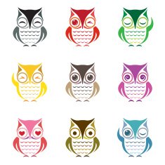 Vector group of owl N2