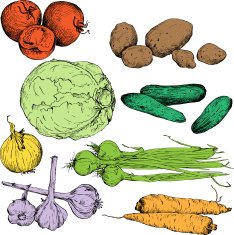 Set of ink drawing vegetables