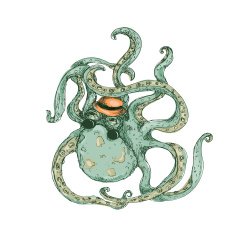 Hipster Octopus Color