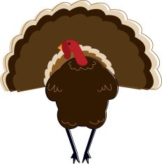 Sketchy Turkey N2