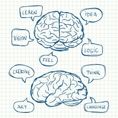 Brain with tihink bubbles