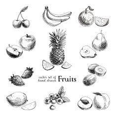 Vector set of hand drawn vintage fruits and berries