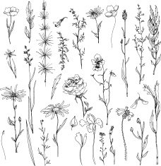 Floral doodle set N2