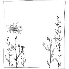 Floral composition N12