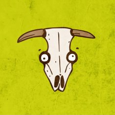 steer skull