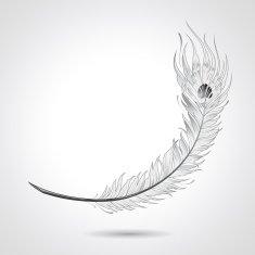 feather N5