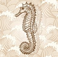 seahorse N2
