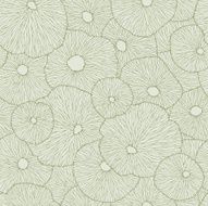 Floating Lotus Leaf
