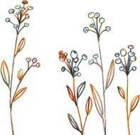 Line drawing flowers and grass N5