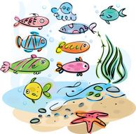 Colorful fishes underwater