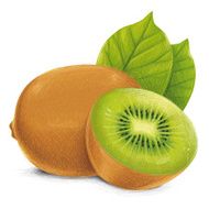 sketchy kiwi
