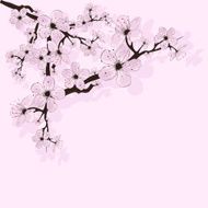 branch with blossoms
