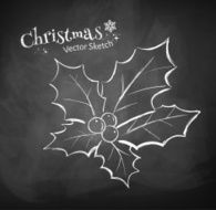 Chalkboard drawing of Christmas holly Vector illustration