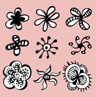 vector flower set N5