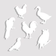 Paper Birds Set