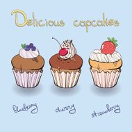 collection muffin with berries