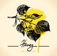 Honey background N2