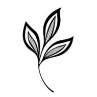 Original Decorative Leaf with Ornament (Vector) N18
