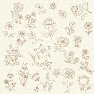 Set of hand drawn flowers N3