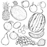 vector set of sketch fruits
