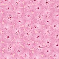 Floral seamless pattern of petunia - Illustration N5