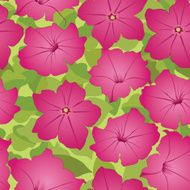 Floral seamless pattern of petunia - Illustration N6