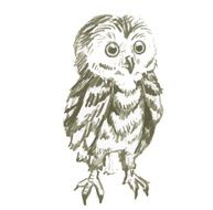 stock vector hand drawn owl illustration N5