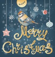 Christmas bird in the night winter city
