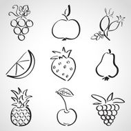 Ink style sketch set - fruits and berries