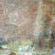 Painted Texture N19