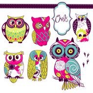 Collection of six different owls N4