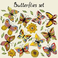 Butterflies N11