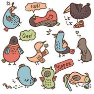 baby doodle birds