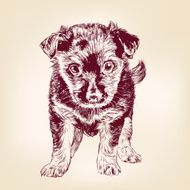 puppy dog hand drawn vector llustration N2
