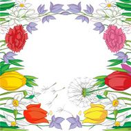 Spring frame N7