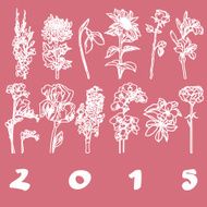 Calendar cover 2015 flowers N2