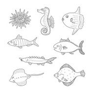 Set of monochrome vector doodle fishes and sea dwellers N2