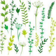 Silhouettes of leaves and grass