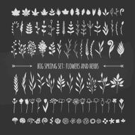 floral elemnts