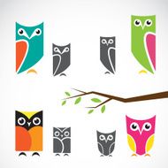 Vector group of owls and branch N2